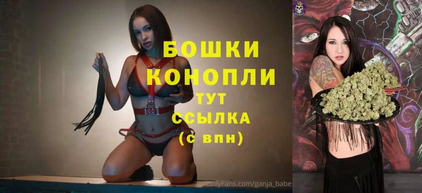 ECSTASY Каменка