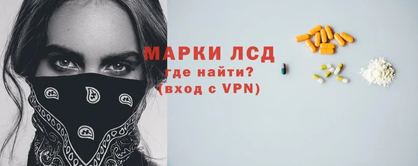 ECSTASY Каменка
