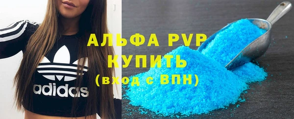 ECSTASY Каменка