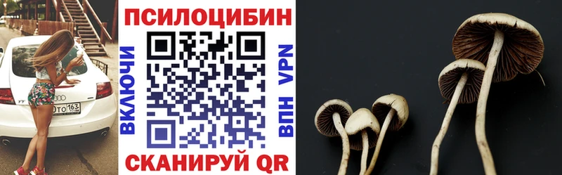 Псилоцибиновые грибы Magic Shrooms  Купить закладки  Звенигород 